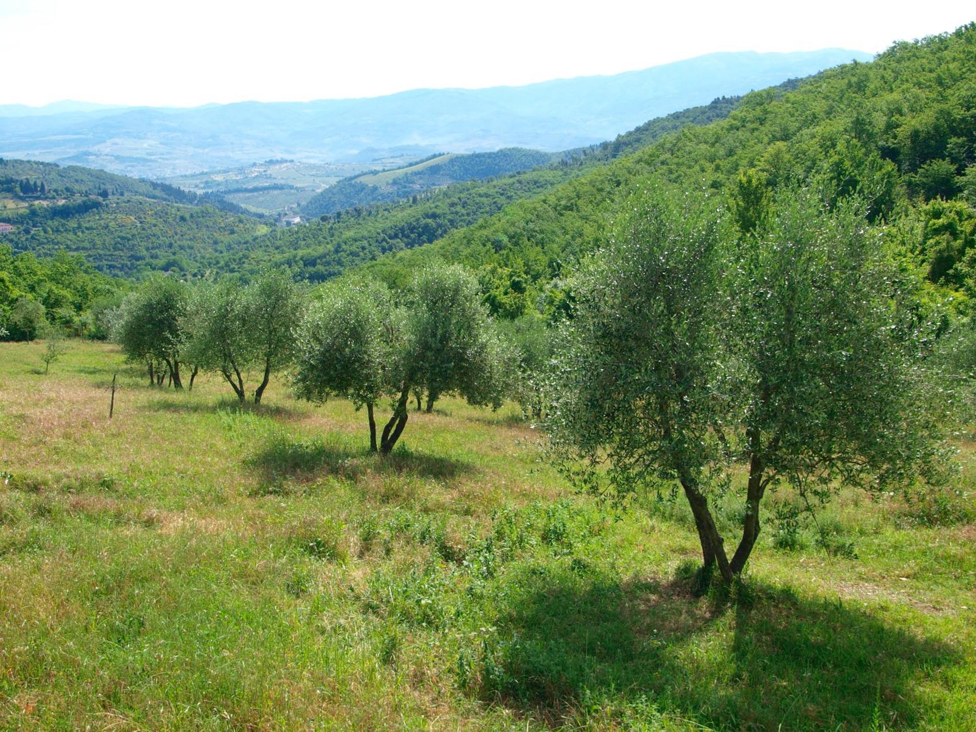 Casignano Bed & Breakfast Bagno a Ripoli Oda fotoğraf