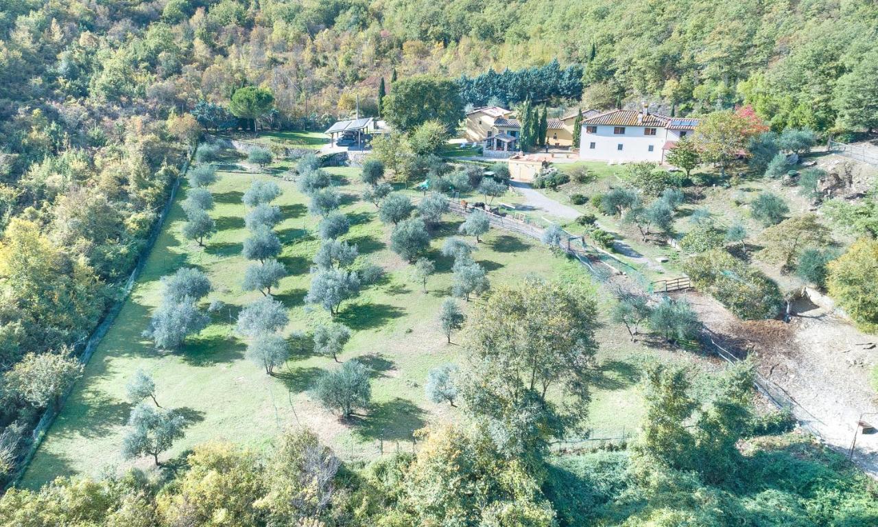 Casignano Bed & Breakfast Bagno a Ripoli Dış mekan fotoğraf